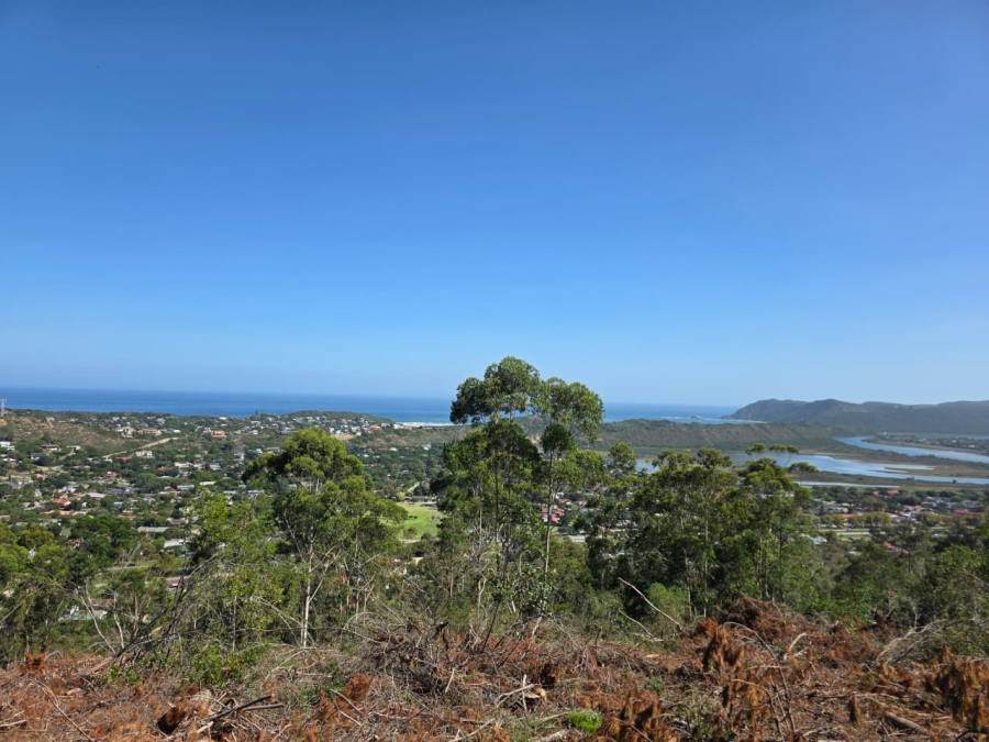 0 Bedroom Property for Sale in Sedgefield Rural Western Cape